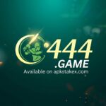 C444 Game