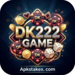 DK222 Game